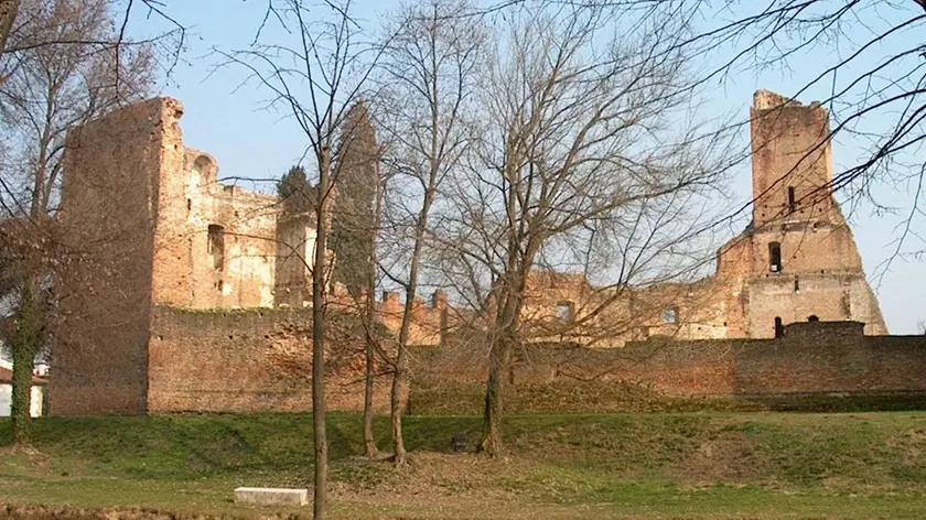 foto per corrado morsego