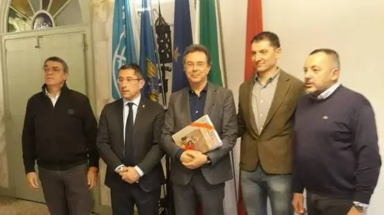 PENDOLINI . DINO TOMMASELLA - GRUARO - PROGETTO VALORIZZAZIONE STALIS