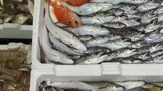 Un banco del mercato ittico in una foto di archivio.Torna da lunedì sulle tavole degli italiani il pesce fresco nazionale dell'Adriatico con la fine del blocco alla pesca, deciso per permettere di ripopolare il mare dopo che i primi sei mesi dell'anno hanno visto dimezzare il pescato in Italia. ANSA/CESARE ABBATE/