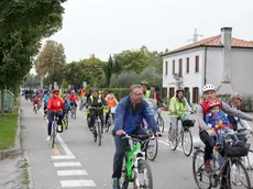 Foto Agenzia Candussi/ Morsego/ Mestre, via Terraglio/ Biciclettata d'autunno