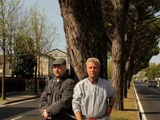 JESOLO - DINO TOMMASELLA - COLUCCI - PROTESTA E RACCOLTA FIRME CONTRO TAGLIO PINI MARINI VIA PINDEMONTE