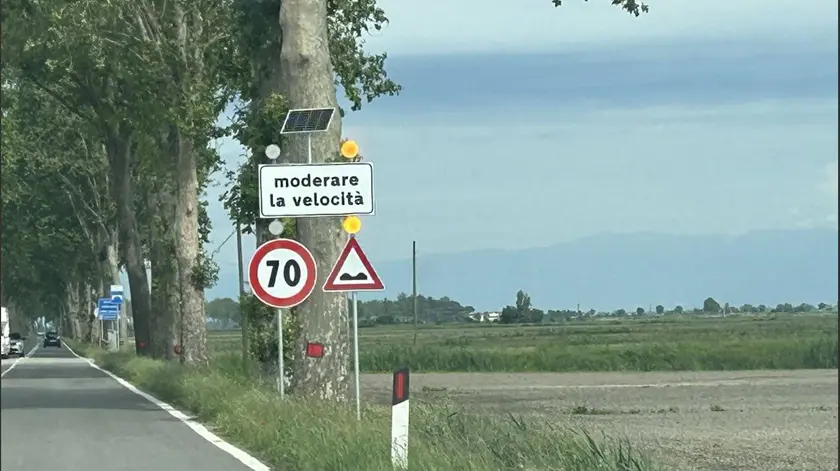 Il cartello apparso sulla provinciale a San Stino