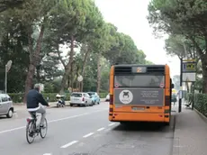 GIORNALISTA: Furlan .AGENZIA FOTO: Candussi.LUOGO: viale Don Sturzo, Mestre.DESCRIZIONE: luogo dell'incidente tra un'automobile e un ciclista