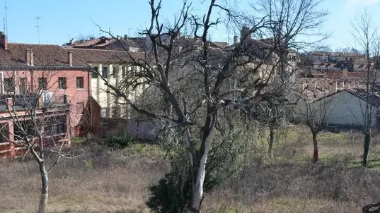 Interpress/M.Tagliapietra Venezia 24.02.2016.- Area ex enel, San Giobbe. abbandono e degrado. zona impianti sportivi.