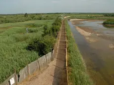 La zona di Falconera