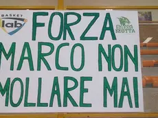 COLUCCI - DINO TOMMASELLA - S. STINO DI LIVENZA - CARTELLO "FORZA MARCO"