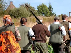 Hunters walk through fields, on September 16, 2012, in Godewaersvelde, at the first day of the hunting season in Northern France. With 1.3 million of hunters, France remains the first country in Europe for wildlife management ahead of Spain and Italy. AFP PHOTO / PHILIPPE HUGUEN (Photo credit should read PHILIPPE HUGUEN/AFP/GettyImages)