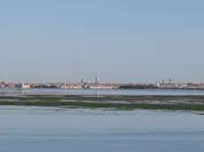 Foto Agenzia Candussi/ Chiarin/ Mestre, punta San Giuliano/ Livello della marea molto basso e formazione di isole di conchiglie coperte da alghe rendono quasi impossibile la navigazione