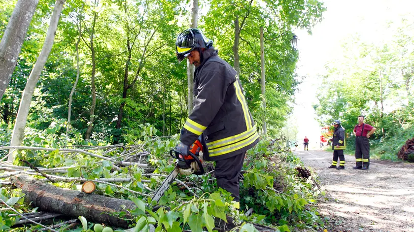 DeMarchi Pagnano via Barbo pompieri al lavoro per albero caduto