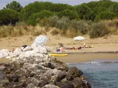 LAZZARINI DEPOLO FGavagnin ERACLEA JESOLO LAGUNA DEL MORT (VAL OSSI) NUOVA SPIAGGIA PER NUDISTI DEPOLO LAZZARINI GRUARO INCENDIO PARRUCCHIERIA LA BIONA E_ LA TITOLARE 26-05-2011 - Naturisti alla laguna del Mort