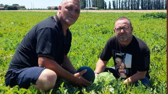 Mauro e Roberto Grisotto, titolari di un’azienda agricola a Cavarzere