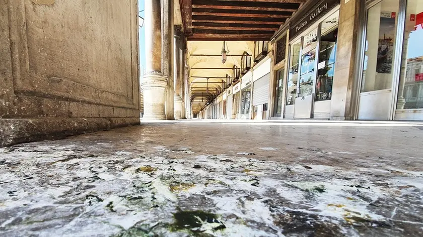 Le Procuratie di San Marco coperte di guano dei colombi