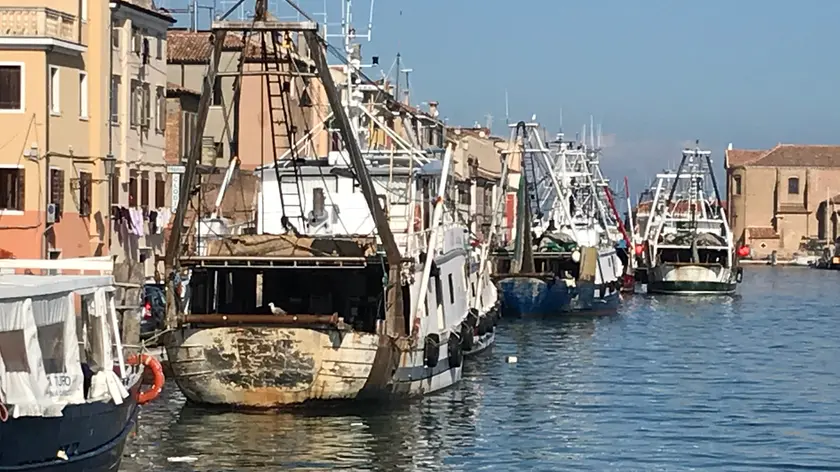 Pescherecci ormeggiati a Chioggia