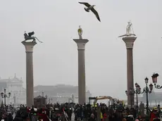 Interpress/M.Tagliapietra Venezia 08.12.2016.- Colonne Marco e Todaro