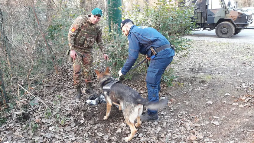 Controllo antidroga della Polizia locale con l'aiuto di Kuma