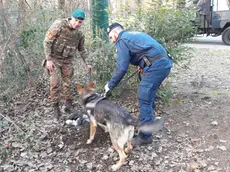 Controllo antidroga della Polizia locale con l'aiuto di Kuma