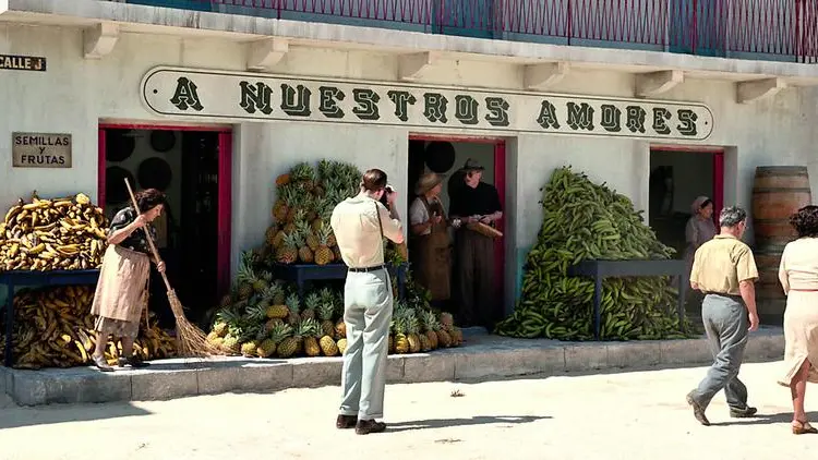 "Queer" di luca Guadagnino