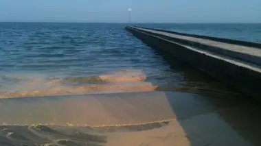 Chiazze gialle sulla battigia della spiaggia di Jesolo
