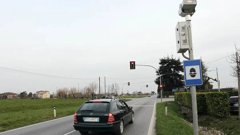 BELLUCO.INCROCIO DUE ALBERE PIAZZOLA SUL BRENTA