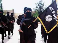 Combattenti dell'Isis, tra loro molti gli stranieri