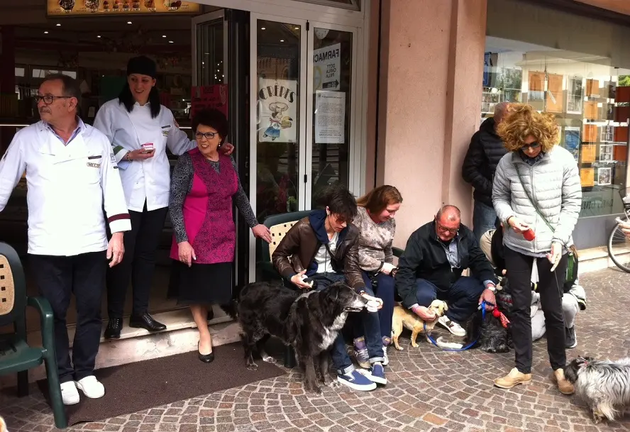 LAMANTEA - DINO TOMMASELLA - MUSILE DI PIAVE - GELATO ANCHE PER CANI E GATTI