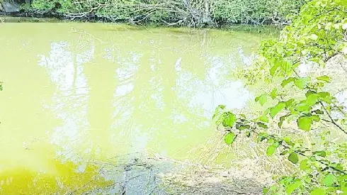 Le rive della Piave vecchia