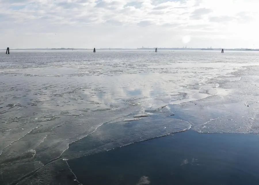 Foto Agenzia Candussi/ Scattolin/ Mestre, Punta San Giuliano/ Laguna ghiacciata vista dalla punta San Giuliano