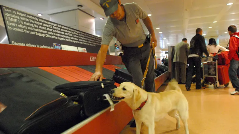Controlli alla sala arrivi internazionali dell'aeroporto Marco Polo di Tessera