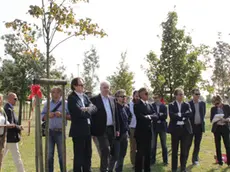 Inaugurazione dell'arboreto della Nuova Venezia al parco San Giuliano per celebrare i 30 anni dalla fondazione del quotidiano