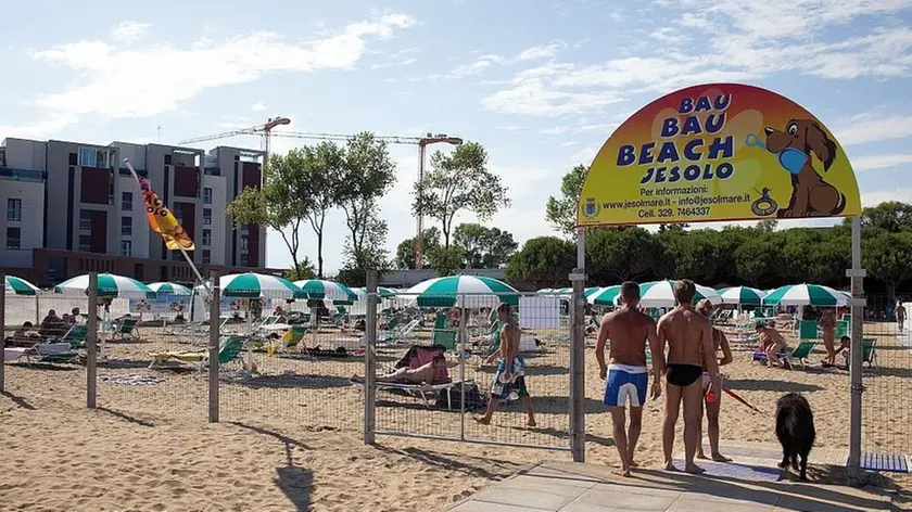 Jesolo (VE): Bau bau beach.