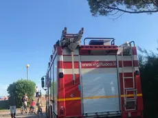 I vigili del fuoco in spiaggia a Bibion (foto Tommasella)