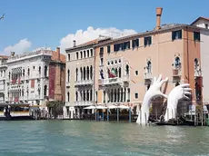 Le grandi mani che escono dal Canal Grande, di Lorenzo Quinn