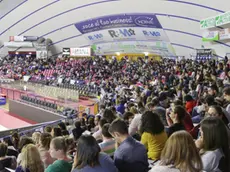 Foto Agenzia Candussi/ Furlan/ Mestre, stadio Taliercio/ Concorso pubblico per infermieri