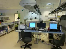 L'interno del nuovo laboratorio