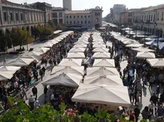 SAN DONA' DI P. - DINO TOMMASELLA - COLUCCI - FIERA DEL ROSARIO - ANTIQUARIATO IN PIAZZA