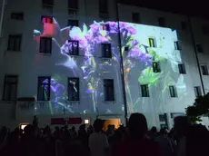INTERPRESS/GF.TAGLIAPIETRA. 22.06.2013.- ART NIGHT. MASBEDO E MARLENE KRUNTZ A CA' FOSCARI.