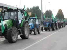 MORSEGO MIRANO: PROTESTA DEGLI AGRICOLTORI CIA CONFEDERAZIONE ITALIANA AGRICOLTORI 03/10/2008 LIGHTIMAGE