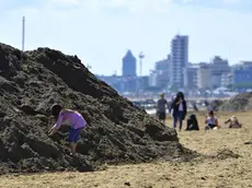 COLUCCI -DINO TOMMASELLA - JESOLO - Il ripascimento in zona Torretta 33