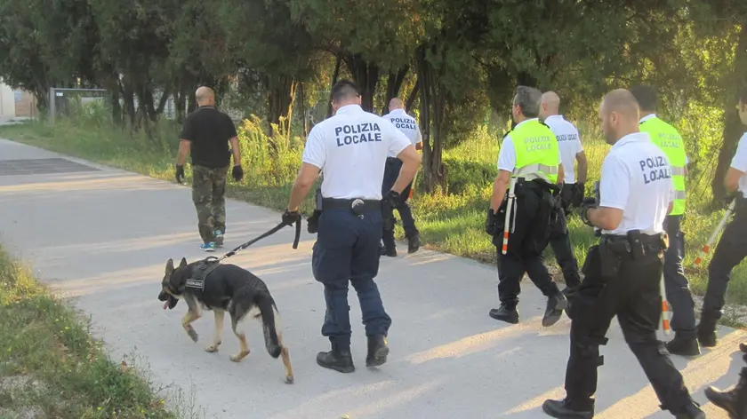 Controlli della Polizia locale con il cane Kuma