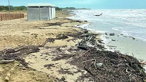 Tonnellate di legname e detriti sulla spiaggia a Bibione