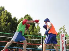 Giornata dello sport al parco Albanese, palio dei quartieri