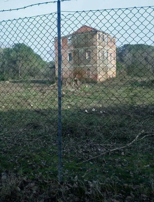 COLUCCI - DINO TOMMASELLA - JESOLO - BOSCO PINETA "COMPARTO 31" - DOPO TAGLIO ALBERI