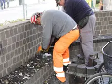 Lavori di rimozione di alcune panchine in via Carducci per evitare il bivacco dei senzatetto, Mestre