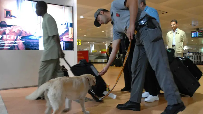 PELLICANI TESSERA 06/06/2007 Aeroporto Marco Polo controlli GdF cane anti-droga © Bertolin M.