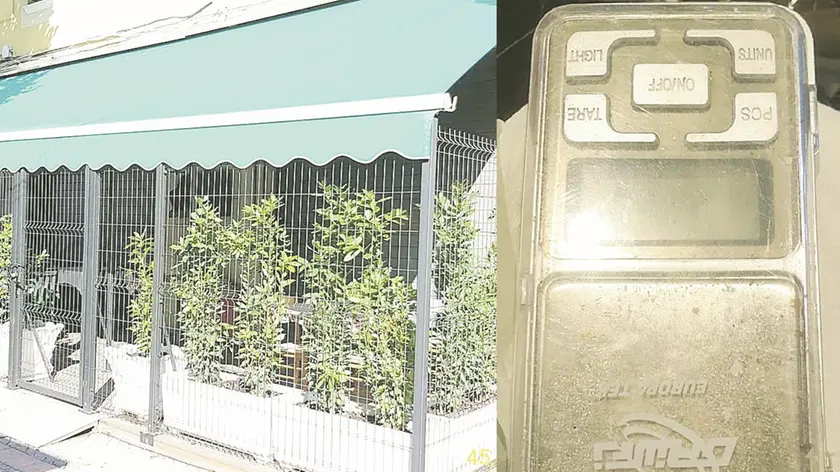 La rete antisfondamento messa dall'Osteria Vecia Posta per evitare che gli spacciatori entrino nel plateatico e un bilancino elettronico per le dosi trovato nella fioriera della Osteria Ceola di Galleria della Torre