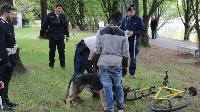 Foto Agenzia Candussi/ Chiarin/ Mestre, parco della Bissuola / Controlli della Polizia anti droga