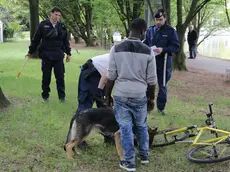 Foto Agenzia Candussi/ Chiarin/ Mestre, parco della Bissuola / Controlli della Polizia anti droga