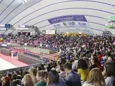 Foto Agenzia Candussi/ Furlan/ Mestre, stadio Taliercio/ Concorso pubblico per infermieri