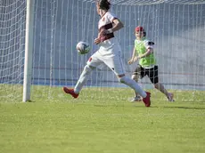 Franceschini d'esterno segna il gol del definitivo 3-0 per la gioia dei raccattapalle e tutto lo stadio FOTO CLAUDIO VIANELLO