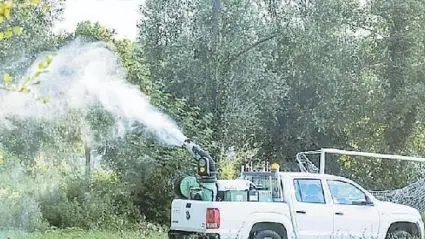 Interventi di disinfestazione per fronteggiare l’emergenza zanzare